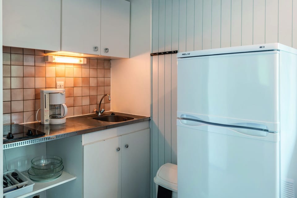 Mini-refrigerator