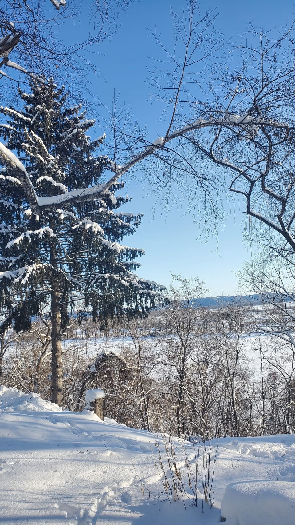 Winter View of Mississippi River