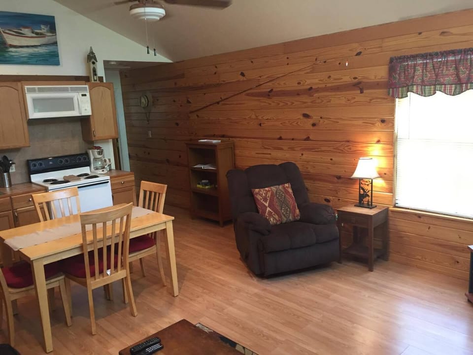 Living room and kitchen