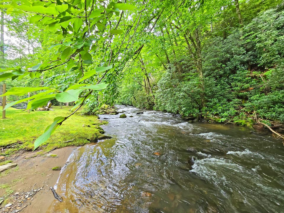 Spring-Ridge-Yurt-Glamping-Creek-View