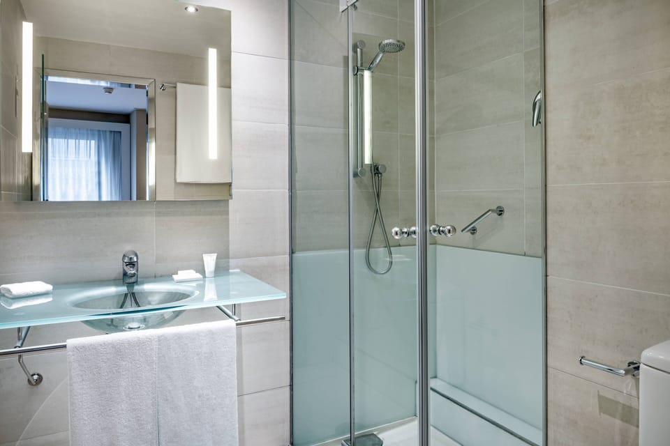 Shower, hair dryer, bidet, towels