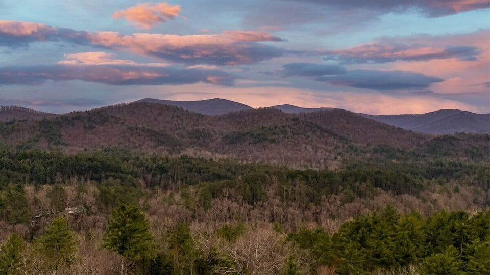 Cherry Log Sky Bear Views