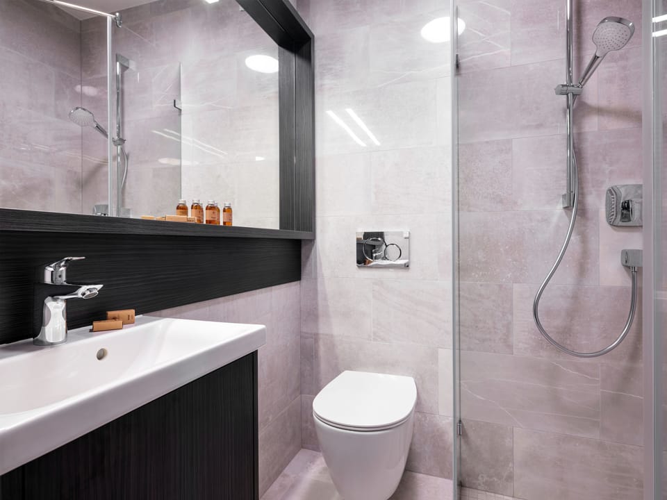 Deluxe Room | Bathroom | Shower, free toiletries, hair dryer, towels