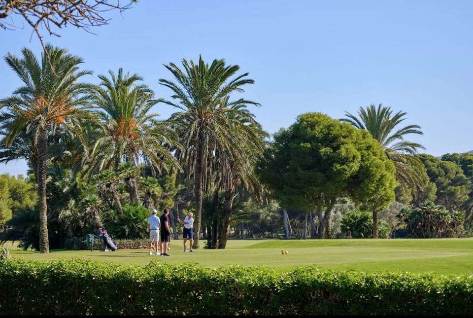 The 1st tee of the Championship South Course, 40m away opposite our front door