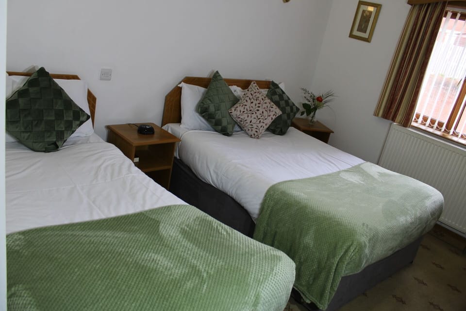 Premier Twin Room | Iron/ironing board, free WiFi