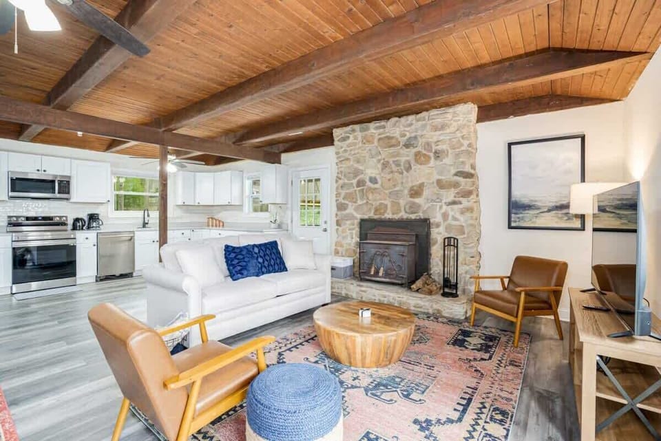 Read a book in our living room by the fireplace