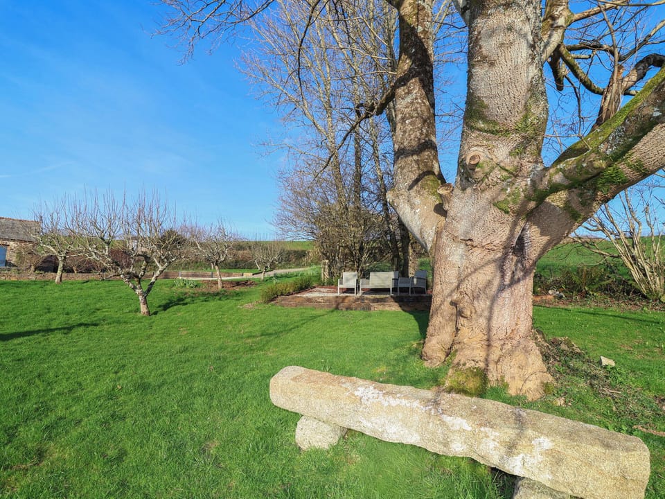 Cottage | Miscellaneous