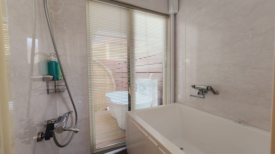 Separate tub and shower, free toiletries, hair dryer, slippers