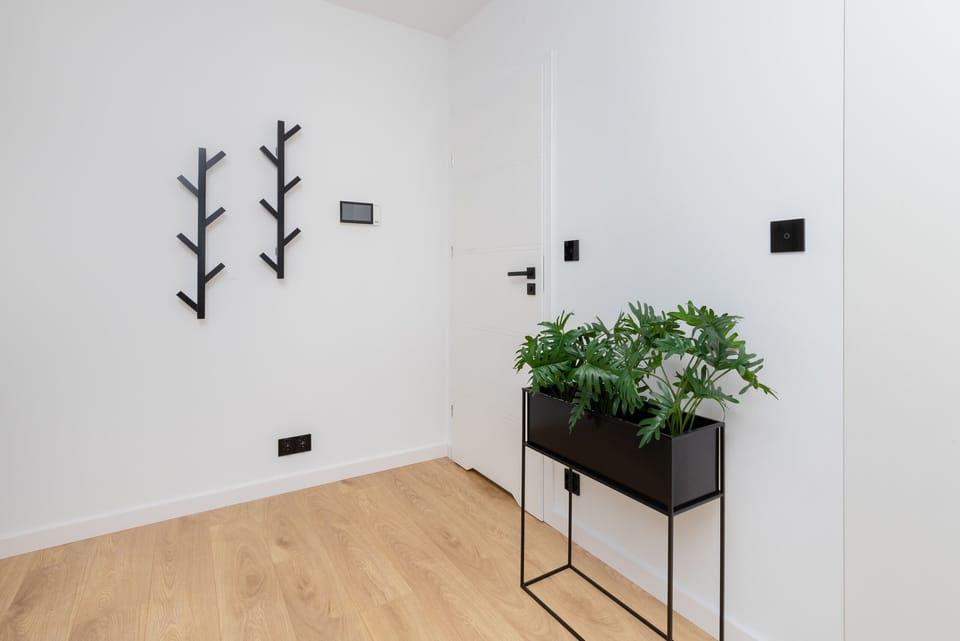 A hallway with a plants.