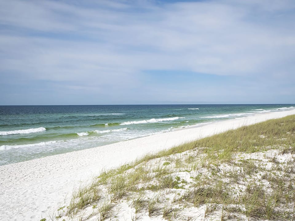 Beach View