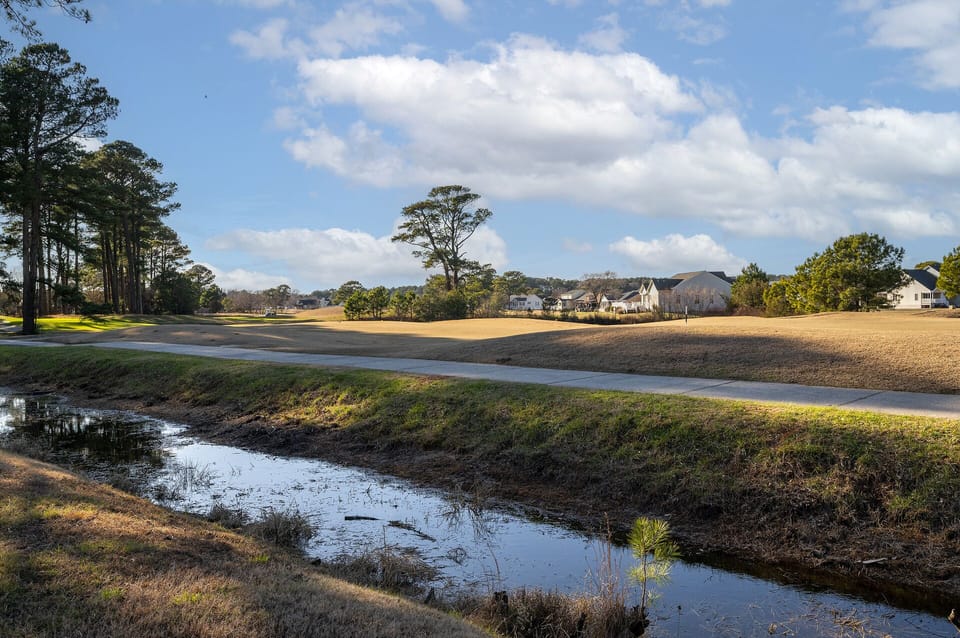 Peaceful Golf Course Views and abundant Wildlife Viewing - Herons, Egrets, Eagles, Deer, and more!