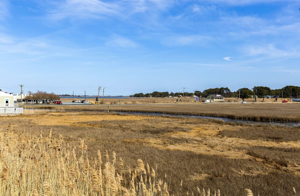 Close to many shops and restaurants.