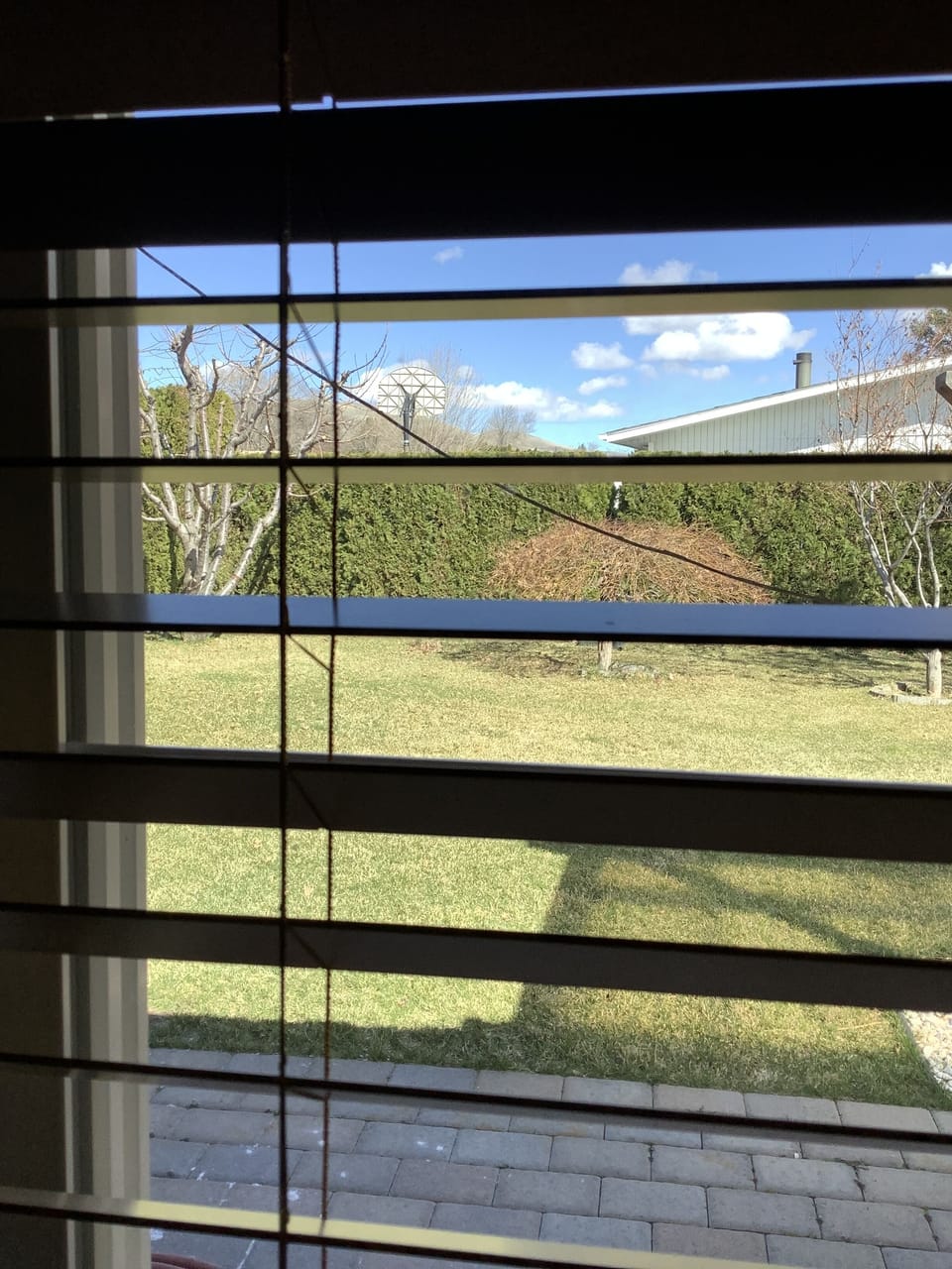 View from master room 
