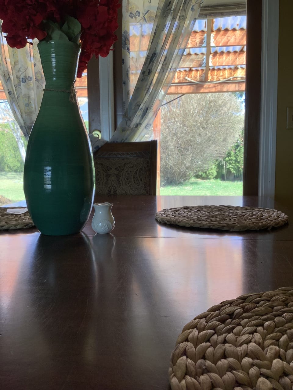 View from Dining g table