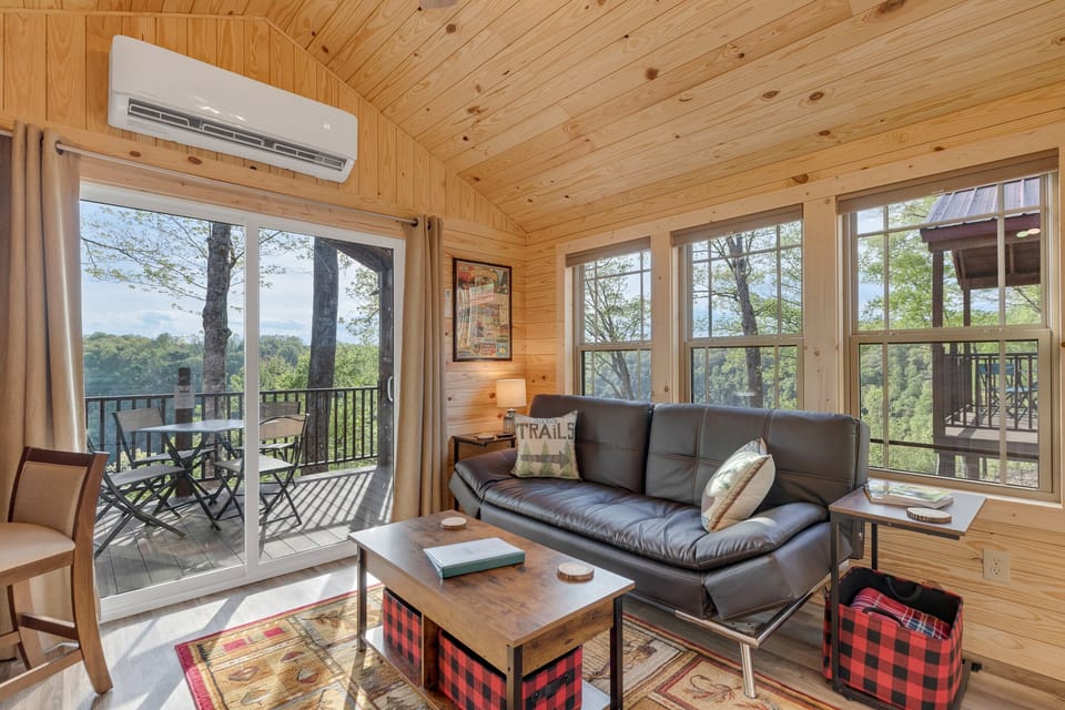 Adventure cabin living room with futon sofa