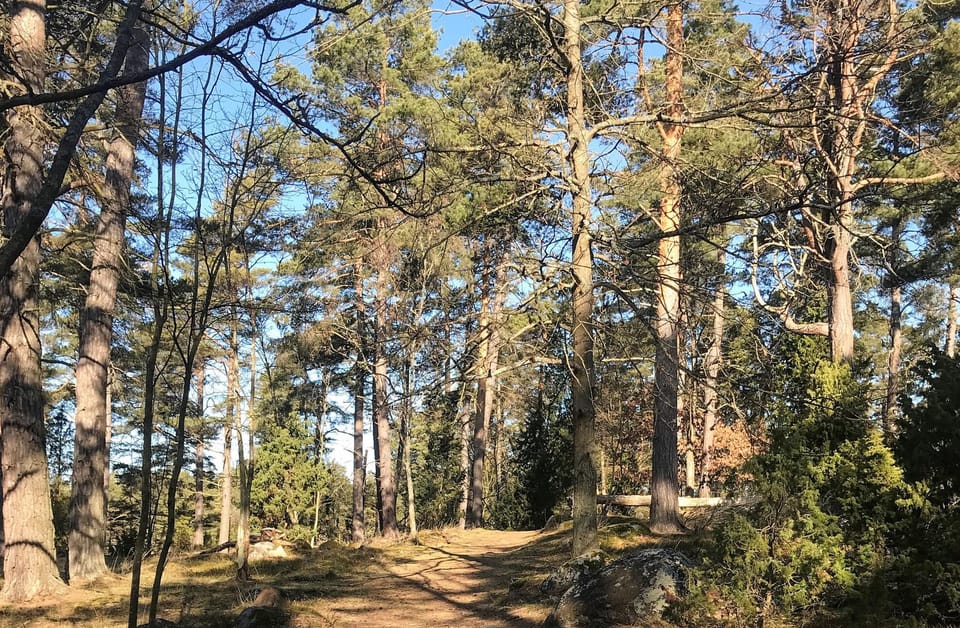 area