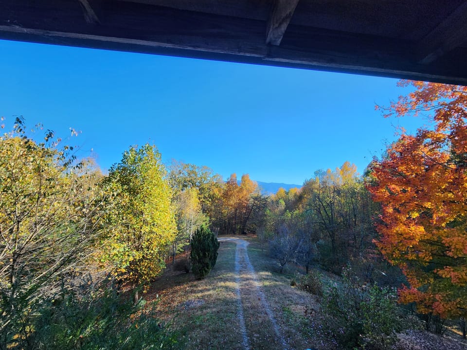 View from property