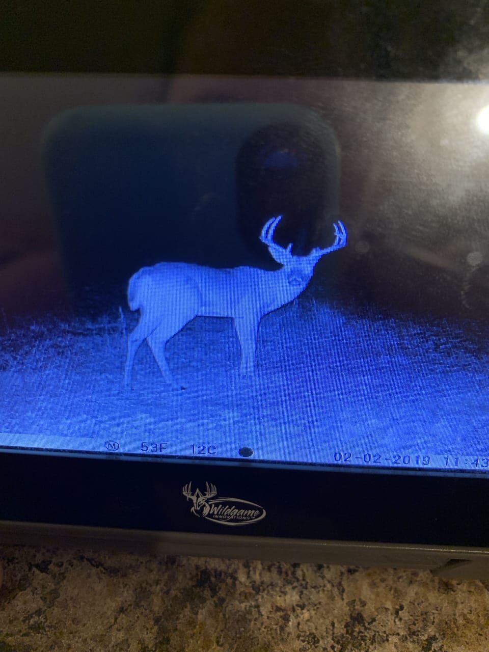 Enjoy the wildlife that frequently grazes and runs through the field!