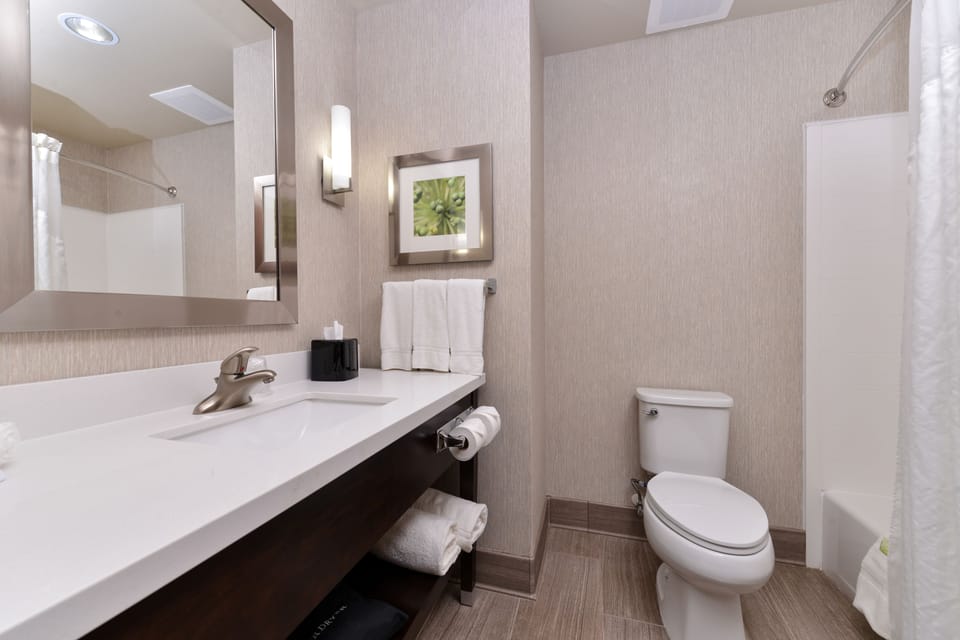 Combined shower/tub, free toiletries, hair dryer, towels