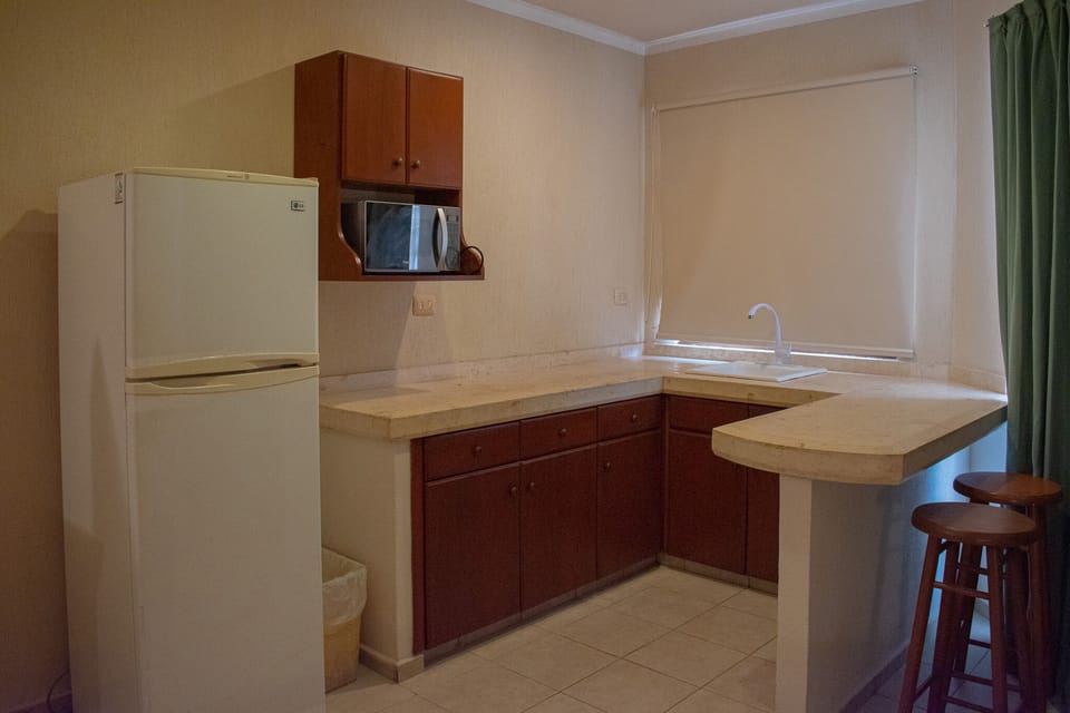 Full-size fridge, microwave