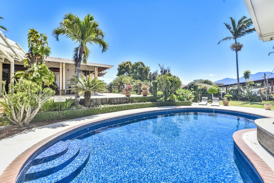 Outdoor pool, sun loungers