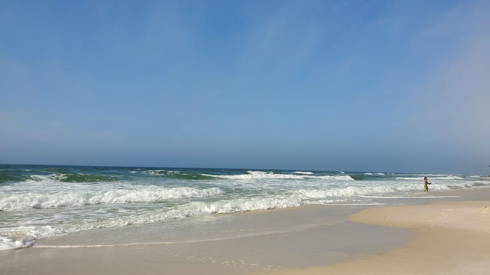 This is the view just off the boardwalk entry