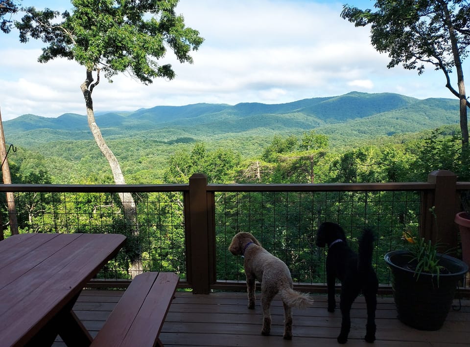 Hot tub, fenced yard, mountain view, firepit, 2 king beds, tons pet amenities