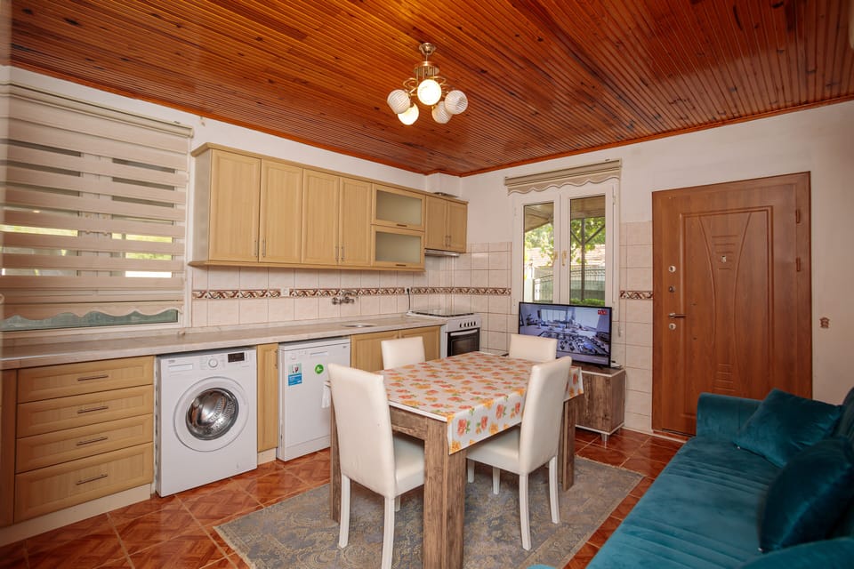 Family Apartment | Private kitchen | Full-size fridge, dishwasher, electric kettle, coffee grinder