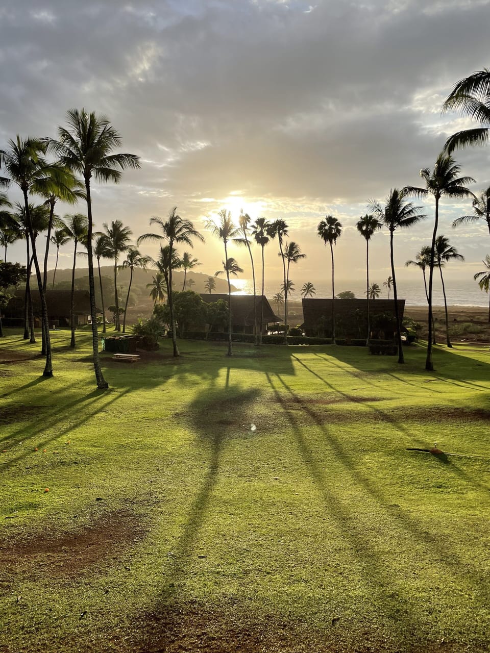 Sunset from our lanai