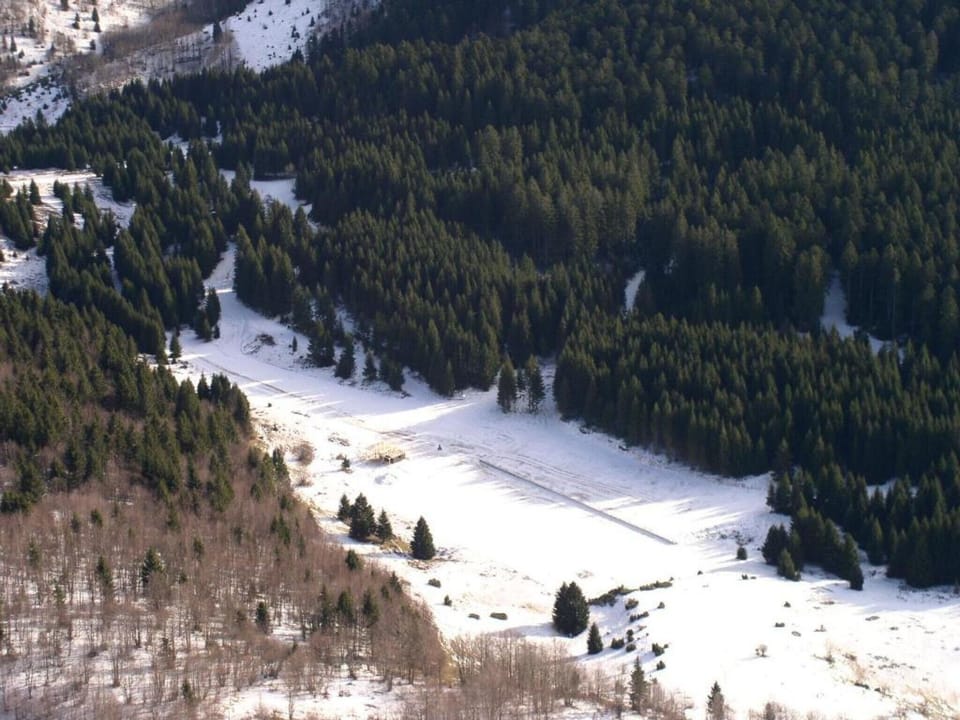 Area