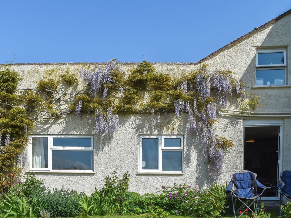Exterior, small grass area | Thornes Farm Cottage, West Quantoxhead