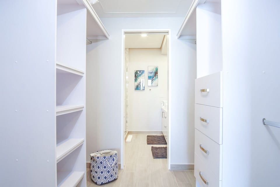 the walk in closet