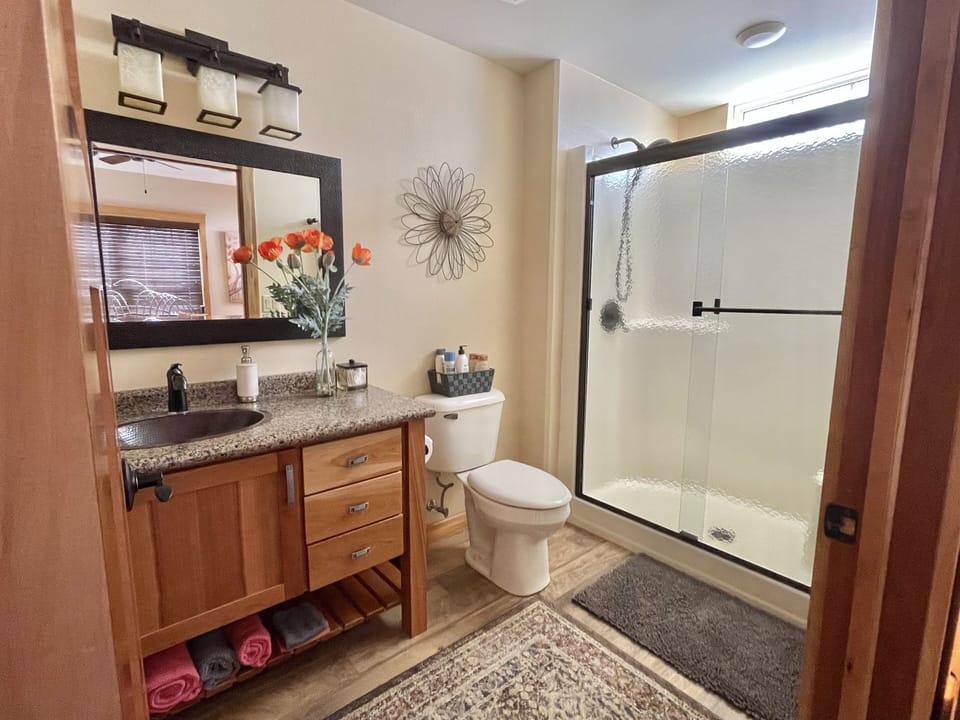 Single Room | Bathroom | Shower, hair dryer, towels, soap