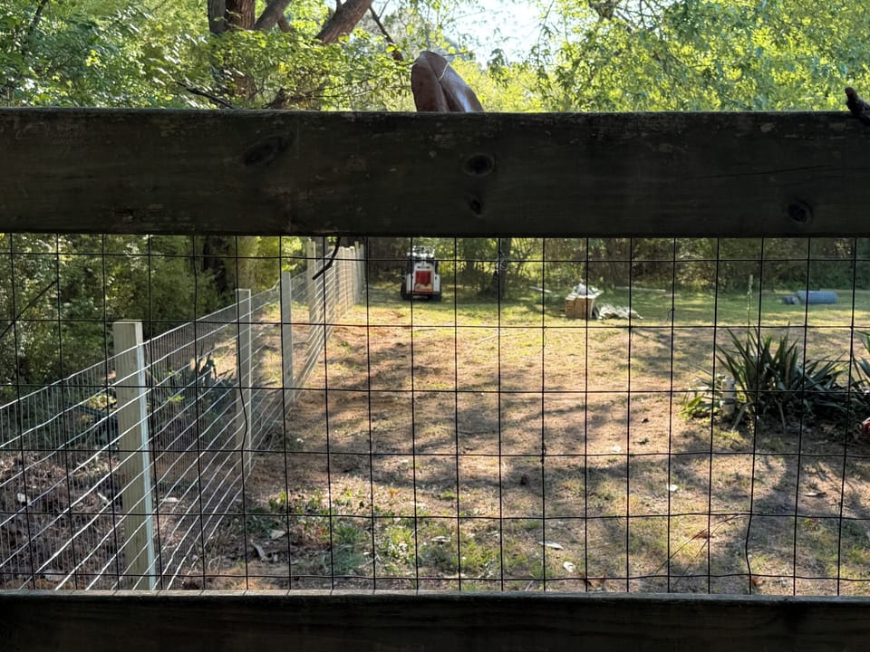 Brand new, fully fenced back yard. Please keep gates shut.