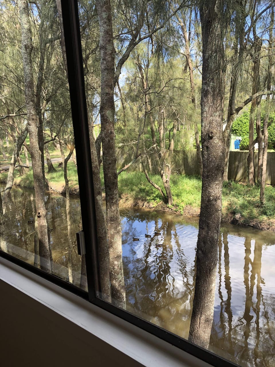 View from property