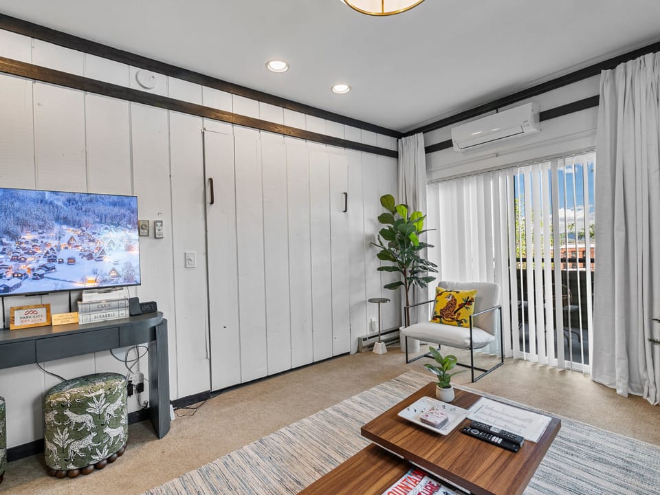 Murphy Bed / Living Area