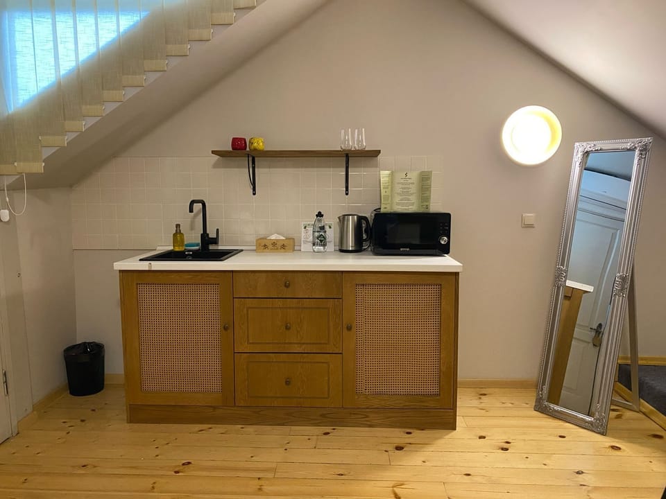 Premier Room | Private kitchenette | Mini-fridge, microwave, electric kettle, cleaning supplies