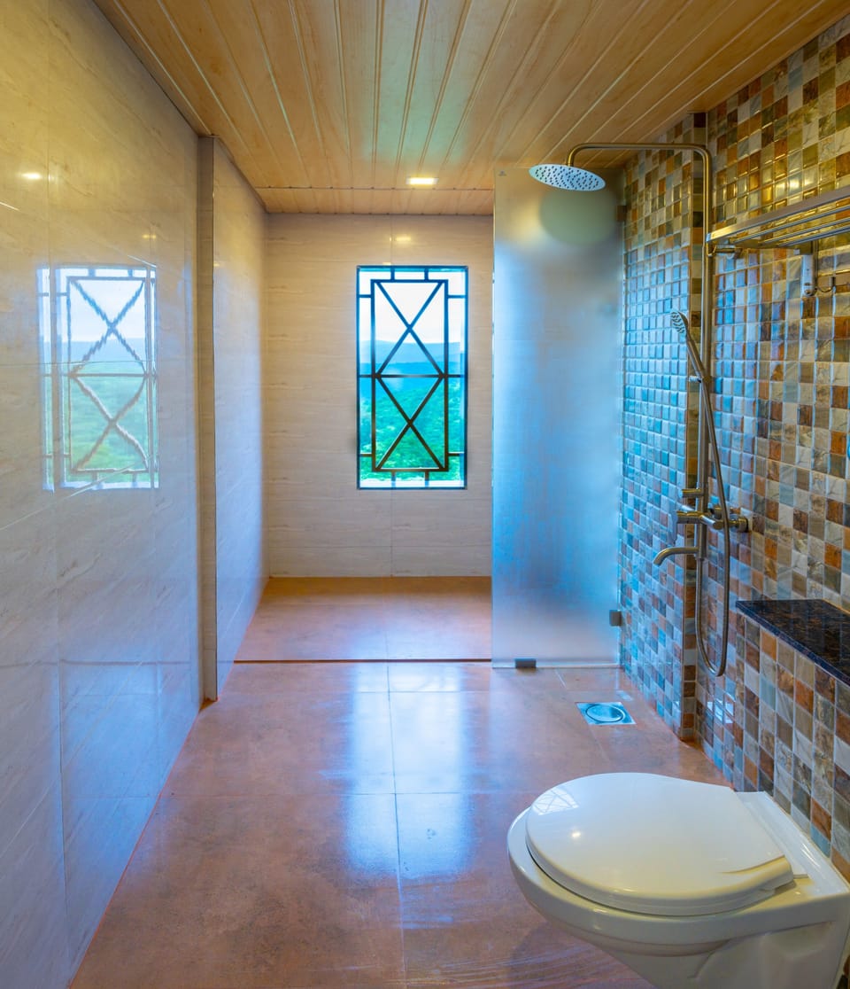 Shower, free toiletries, towels