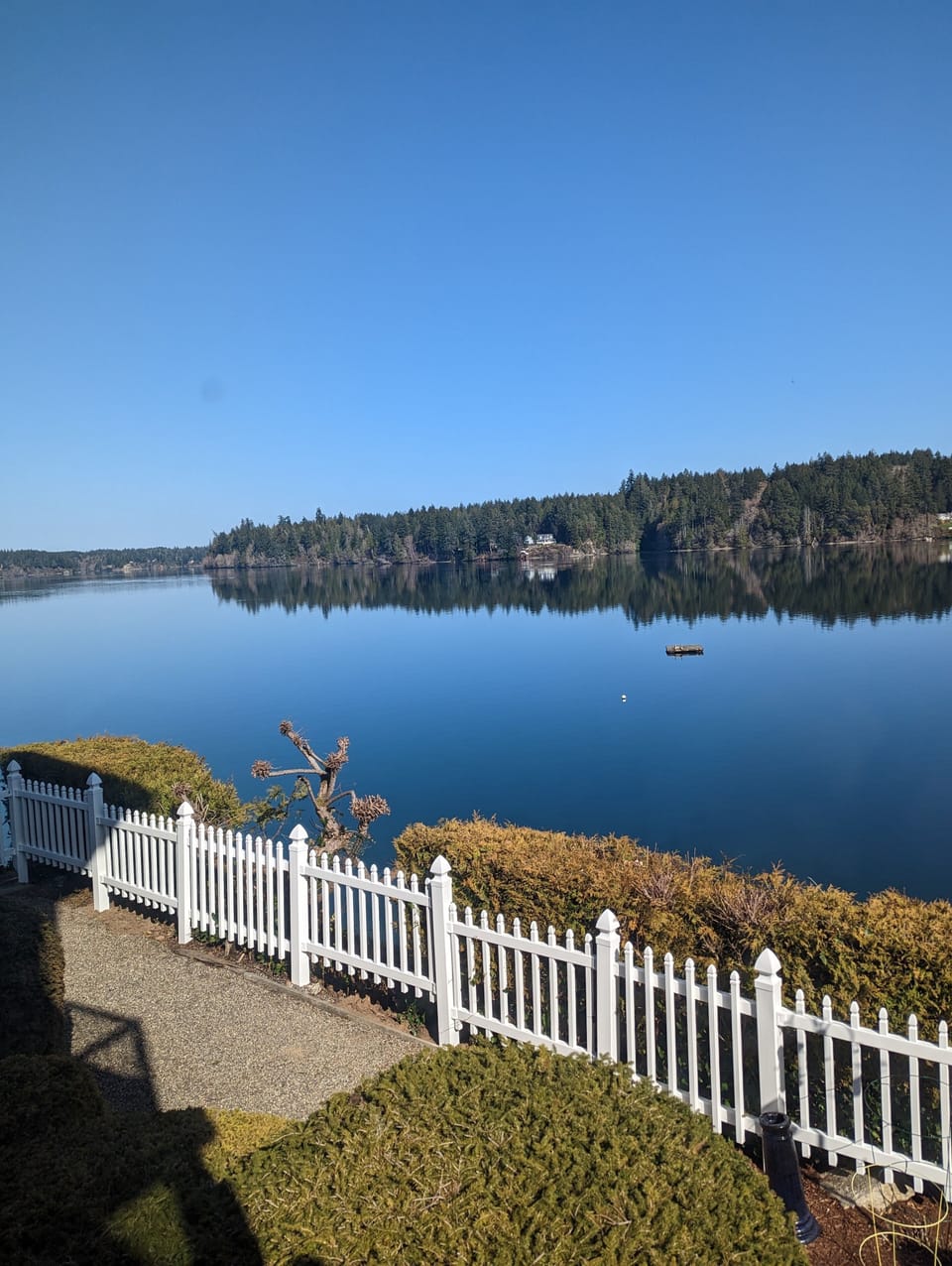 View from yard