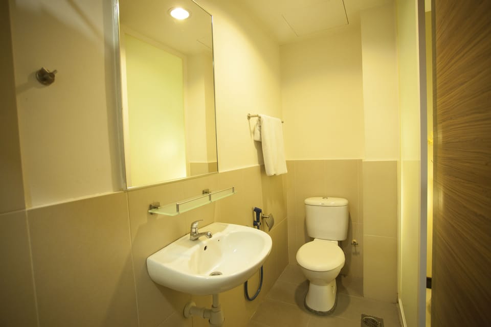 Shower, hair dryer (on request), bidet, towels
