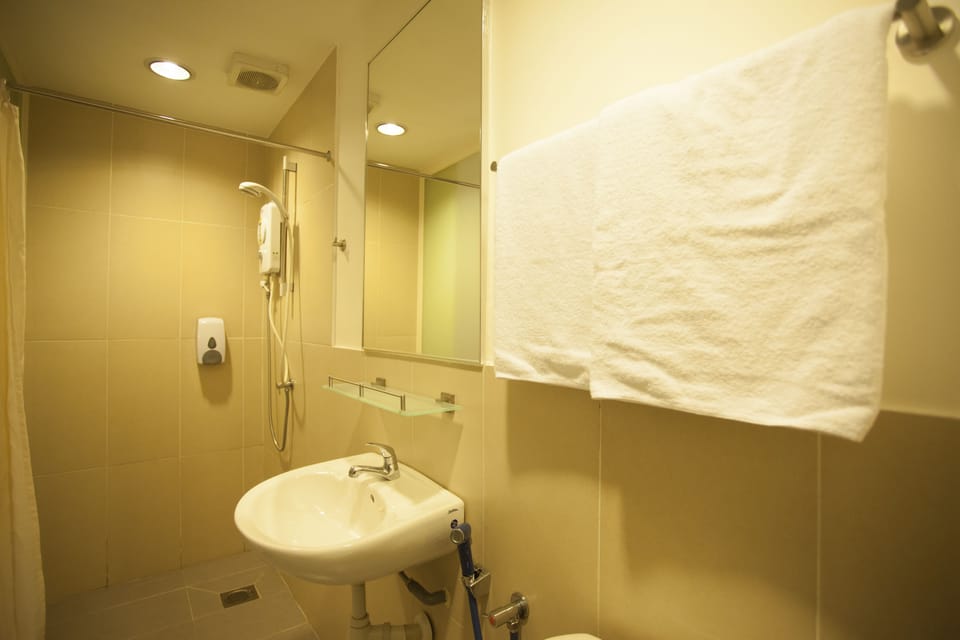 Shower, hair dryer (on request), bidet, towels