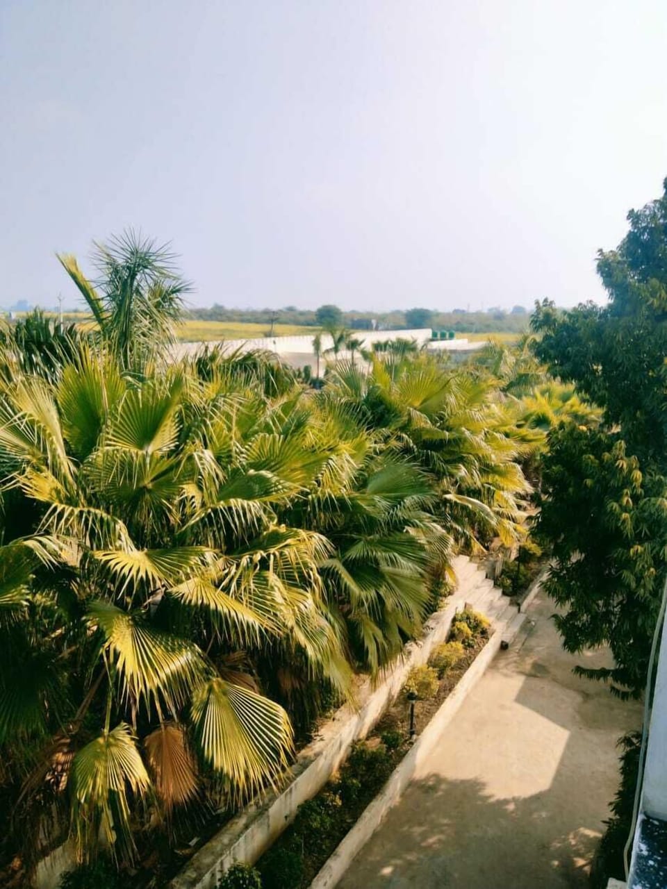 Balcony view