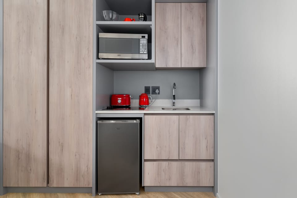 Classic Studio | Private kitchen | Fridge, microwave, oven, stovetop