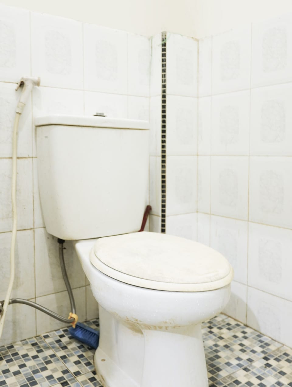 Shower, towels, toilet paper