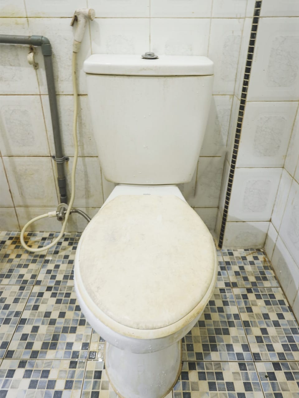Shower, towels, toilet paper