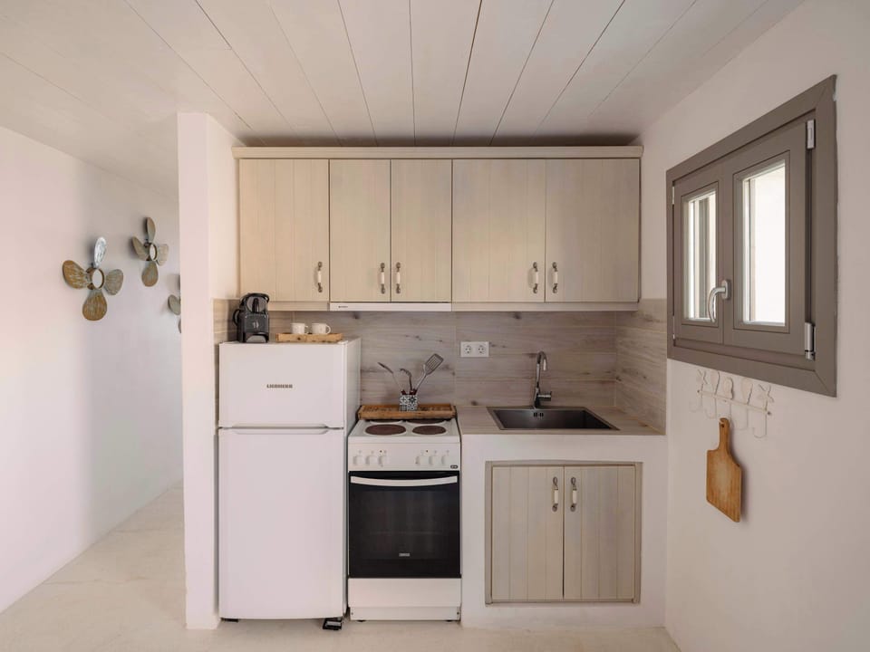 Practical and charming kitchenette stocked with essential appliances.