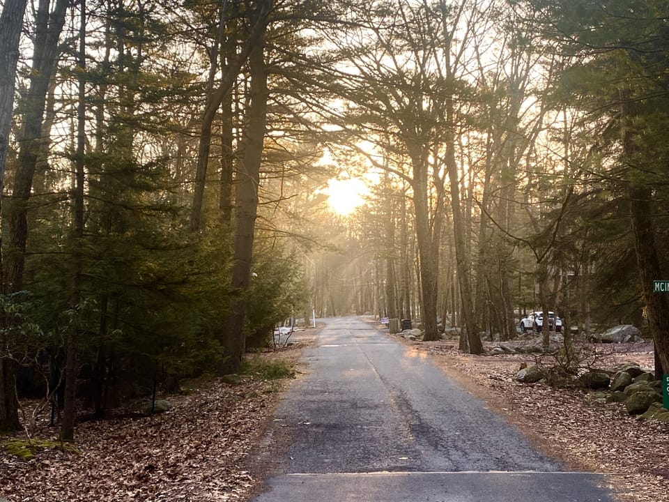 Sun peeks thru on greenwood road on early morning walk 