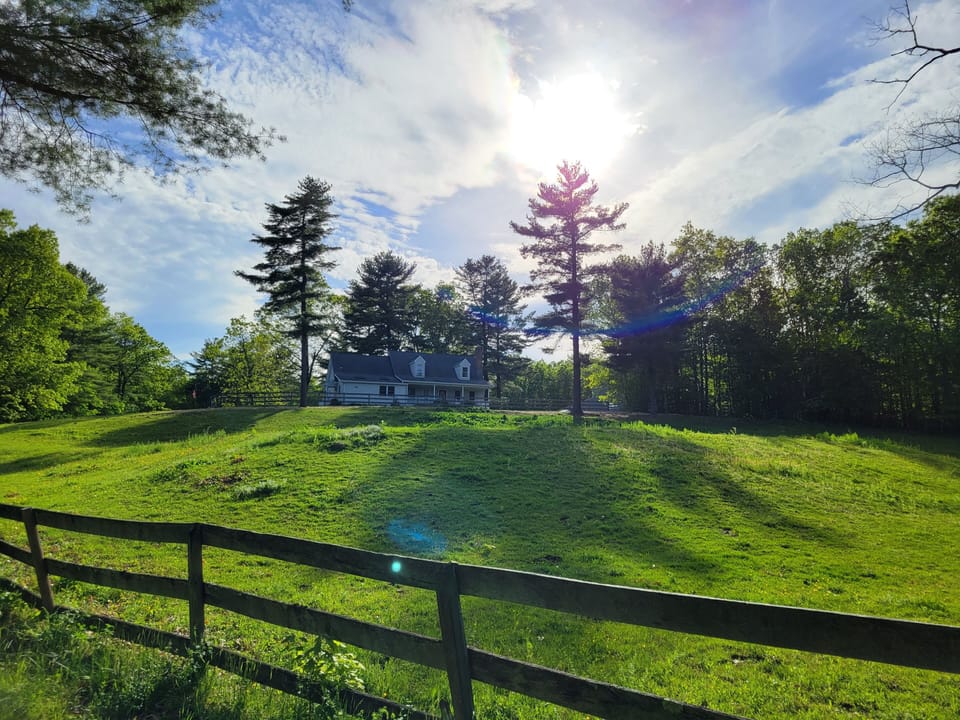 The suite sits up on a hill overlooking a beautiful horse pasture.