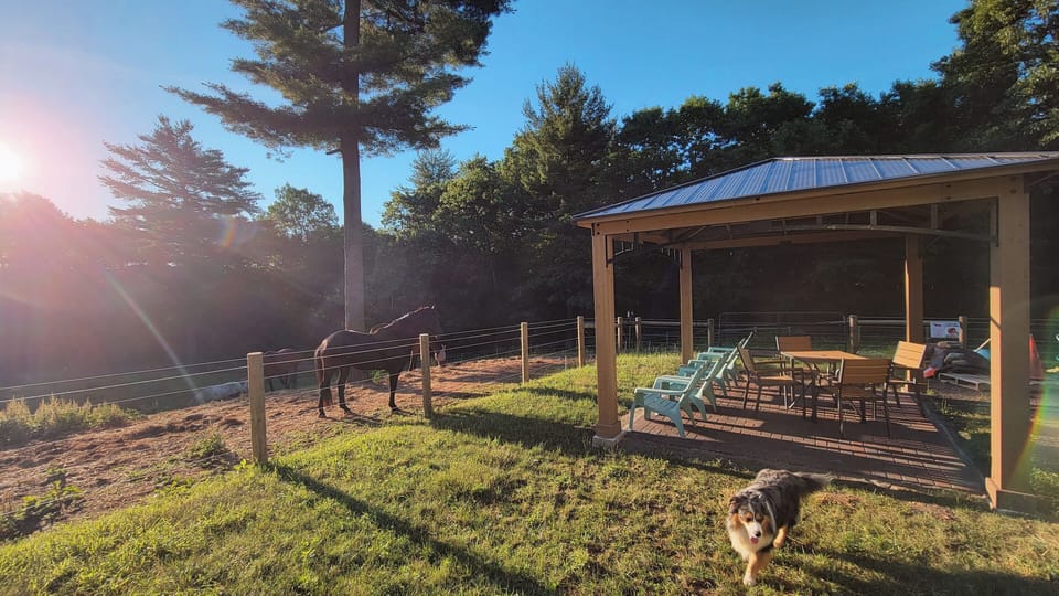 A new amenity is this gazebo that gives you a front row seat to the horse show!