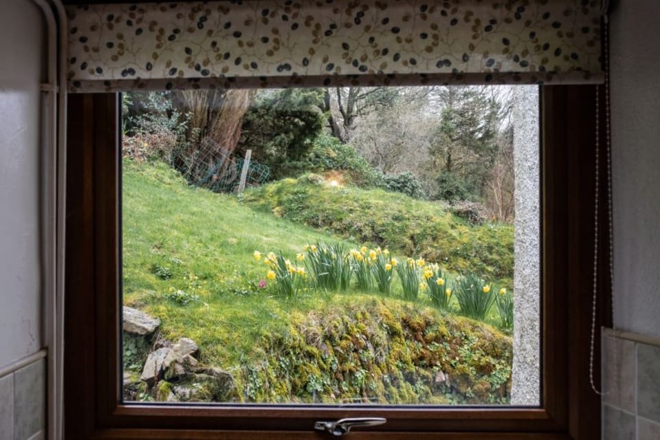 Mannacott Farm Kitchen Window